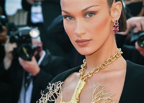 dior palestine boycott|bella hadid dior news.